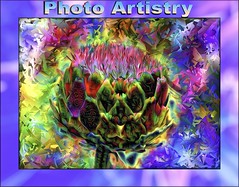  Photo Artistry Group